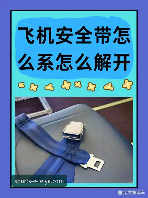 5个关键维度解析飞亚体育官网下载哪个好——从版本到安全的全面指南