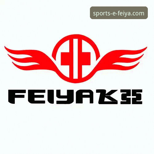 飞亚体育APP大小与下载安装全攻略